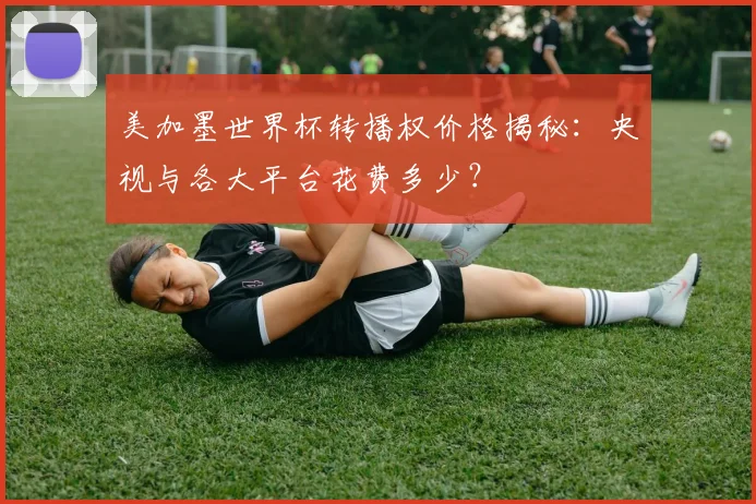 美加墨世界杯转播权价格揭秘：央视与各大平台花费多少？