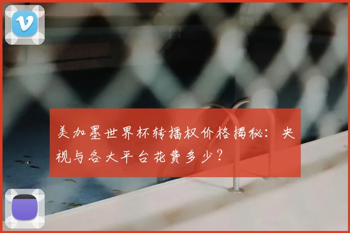 美加墨世界杯转播权价格揭秘:央视与各大平台花费多少?