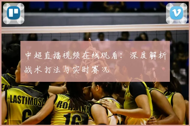中超直播视频在线观看：深度解析战术打法与实时赛况